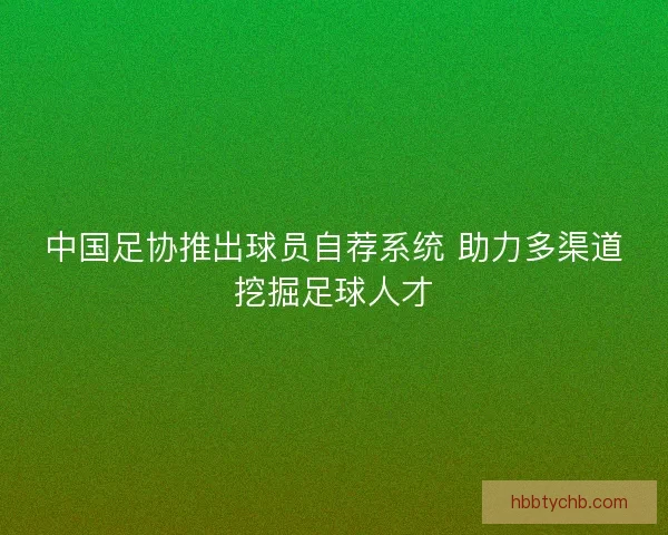 中国足协推出球员自荐系统 助力多渠道挖掘足球人才